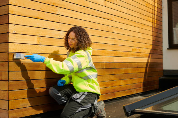 Best Siding Painting and Refinishing  in Corydon, IA