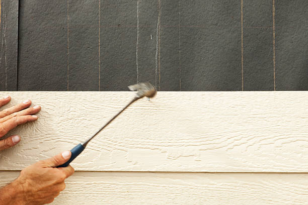 Best Siding for New Construction  in Corydon, IA